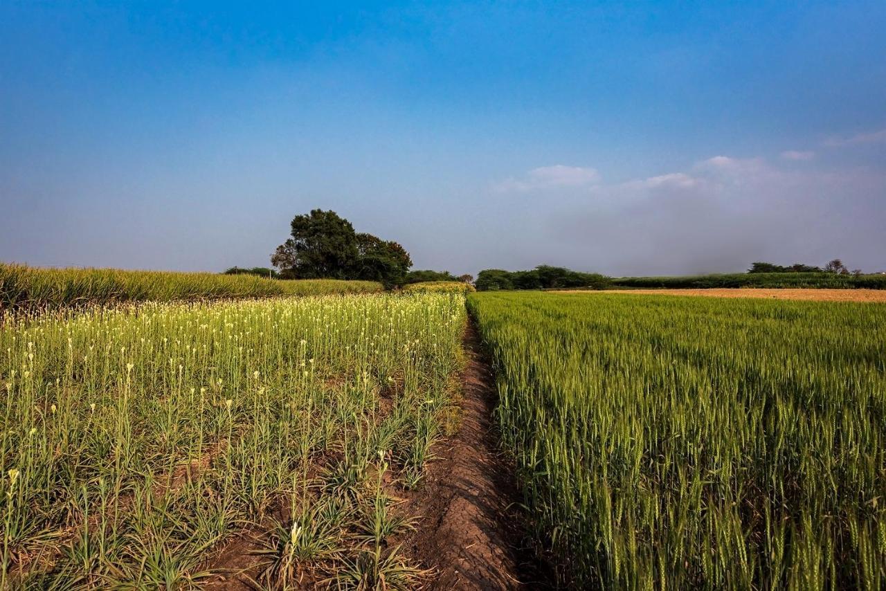 Saffronstays Happy Fields, Pune - Luxury Farmstay With Farm To Table Food Exterior foto